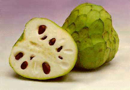 Cherimoya-Fruit.gif