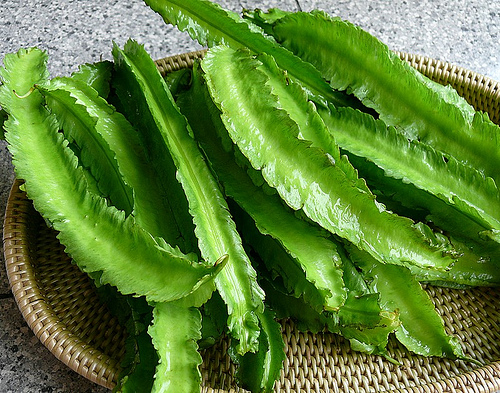 winged bean pea asparagus