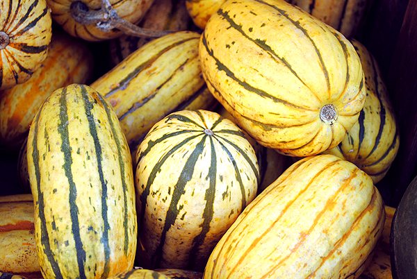 Is Squash Or Pumpkin A Fruit Or Vegetable Infographic Types Of Squash Nutritional Benefits And Much More By Plattershare Plattershare