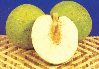 photos of breadfruit
