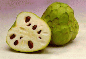 Cherimoya fruit pictures