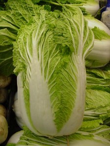 chinese cabbage Picture