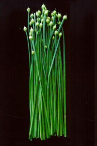 Garlic Chives Picture
