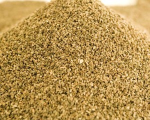 Photos of Celery Seed