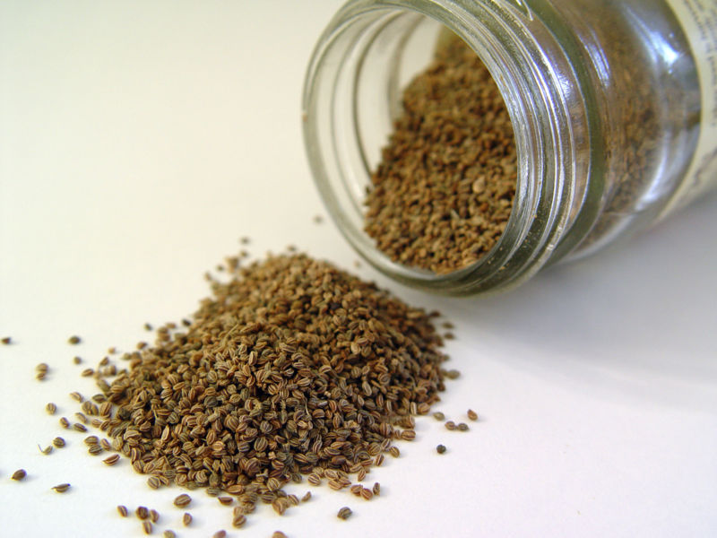 Pictures of Celery Seed