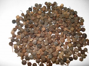 Images of Cubeb