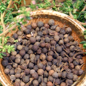 Pictures of Cubeb