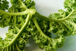 Pictures of Kale