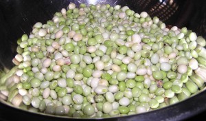 Pigeon Peas Picture