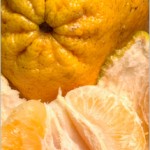 Pictures of Ugli Fruit
