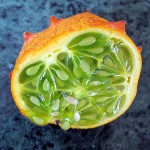 Images of Horned Melon