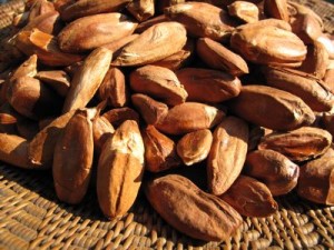 Images of Pili Nut