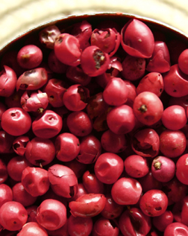 Pictures of Pink Peppercorn