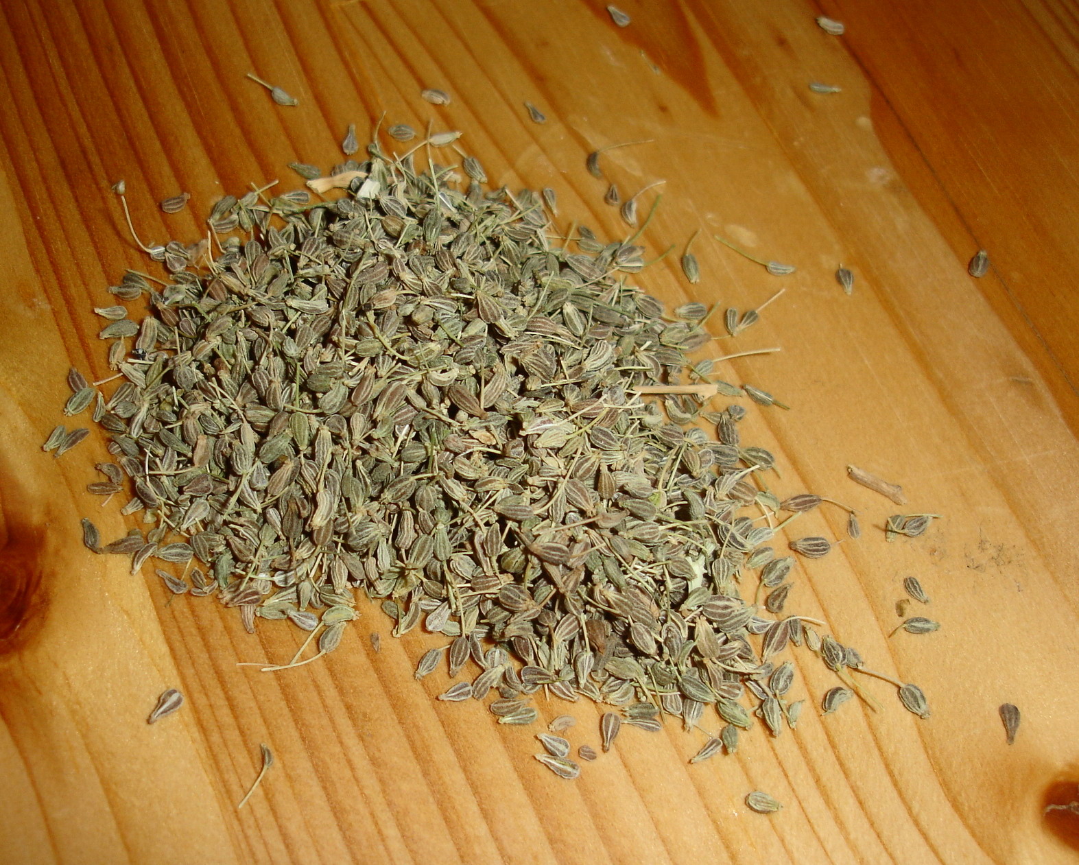 Pictures of Aniseed