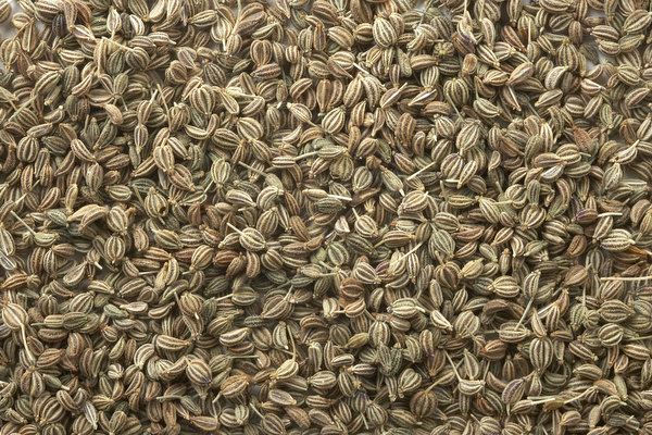 Ajwain Carom Seeds Health Benefits Nutritional Facts Pictures