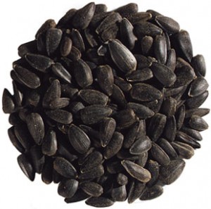 Black Seed Oil Seeds Image