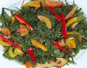 Image of Caulerpa Lentillifera Recipe