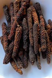 Pictures of Piper Longum (Long pepper)