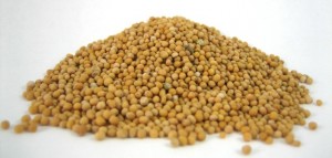 Images of Mustard Seeds