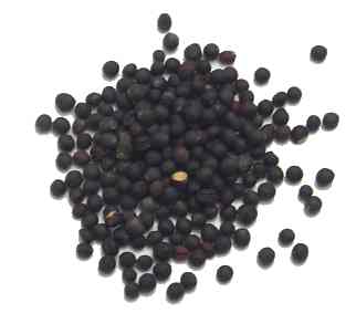 Pictures of Mustard Seeds