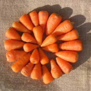 Photos of Baby Carrot