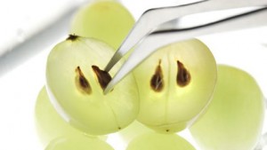 Grape Seed Image