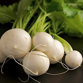 White Turnip Image