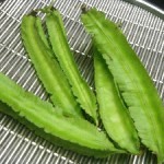 Photos of Winged Bean