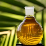 Palm Oil Picture