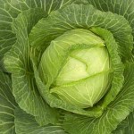 Photos of Cabbage