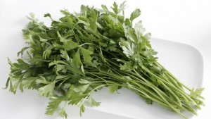 Parsley Picture