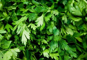 Images of Parsley