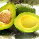 Pictures of Avocado