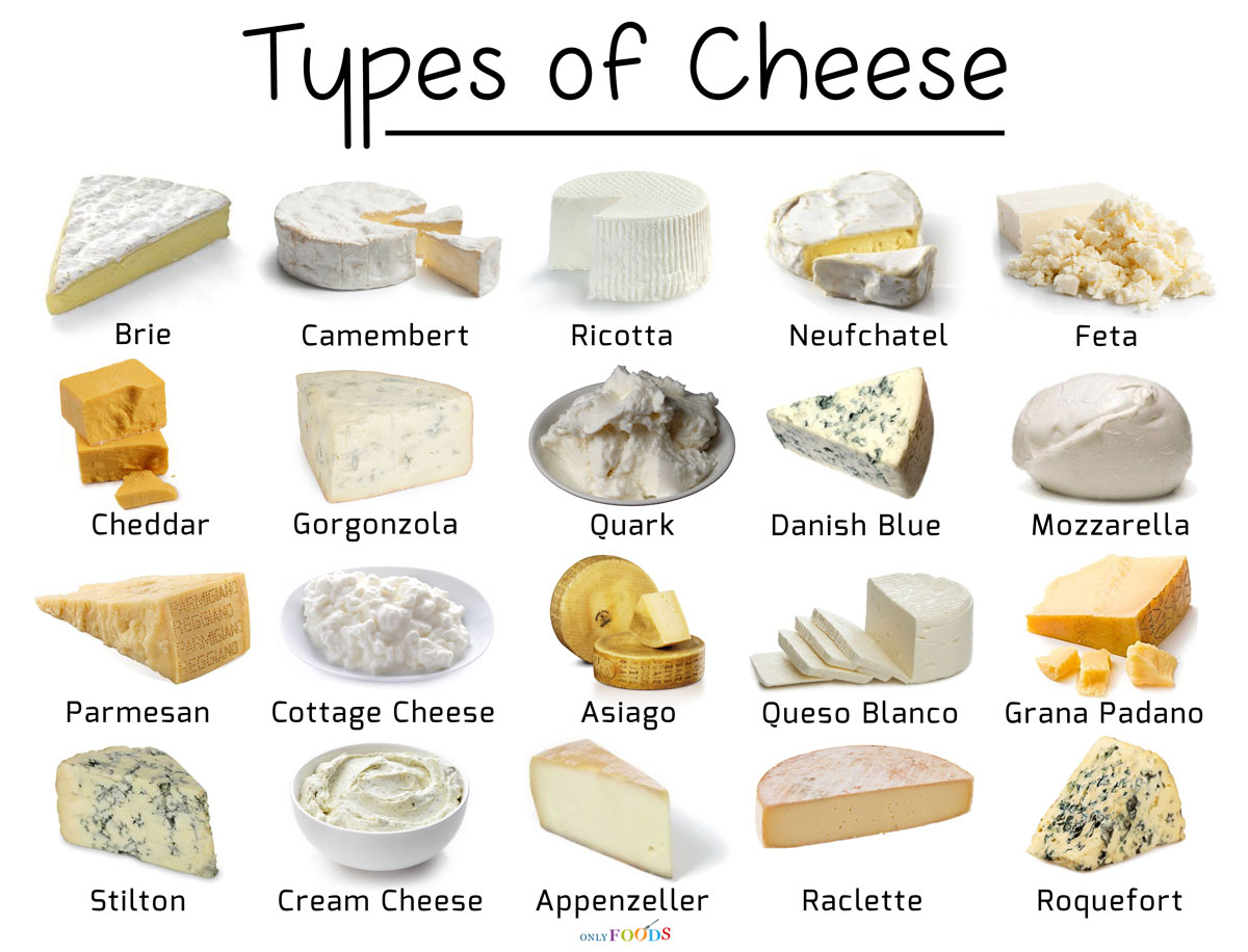 Types of Cheese with Pictures