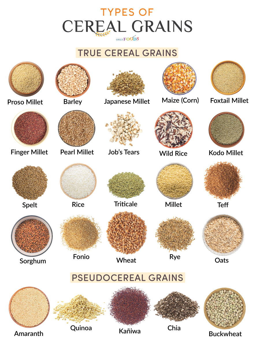 Types of Grains