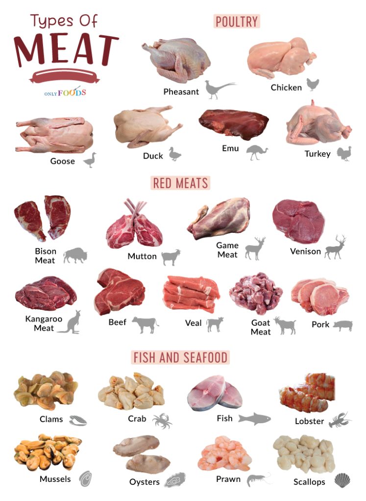 Types of Meat