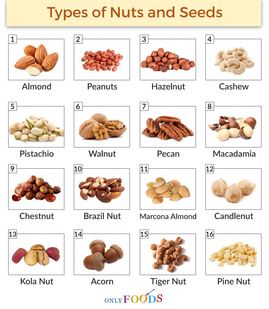 Lists of Different Types of Nuts and Seeds with Pictures.