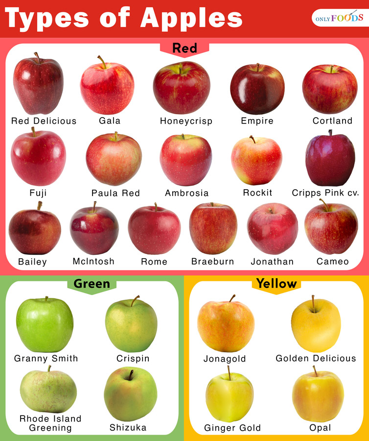 types of apple chart