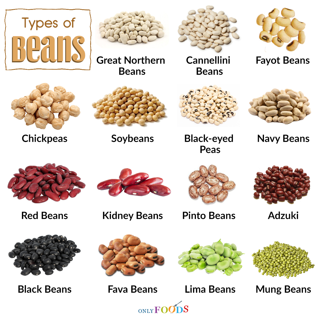 beans types different chart