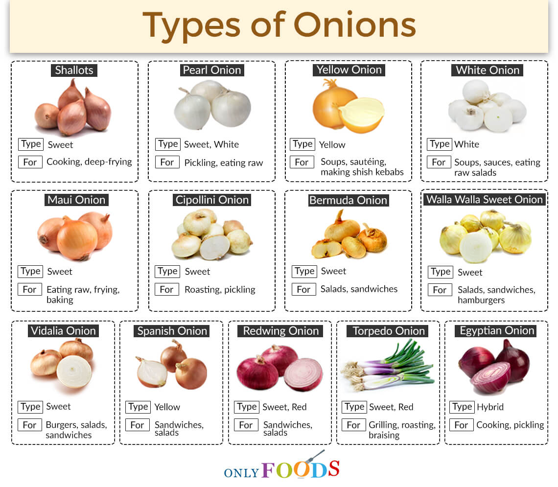 13 Different Types Of Onions With Pictures,Creamy White Chicken Chili Crockpot