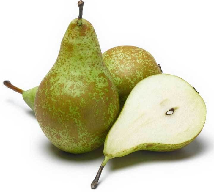 pear varieties chart