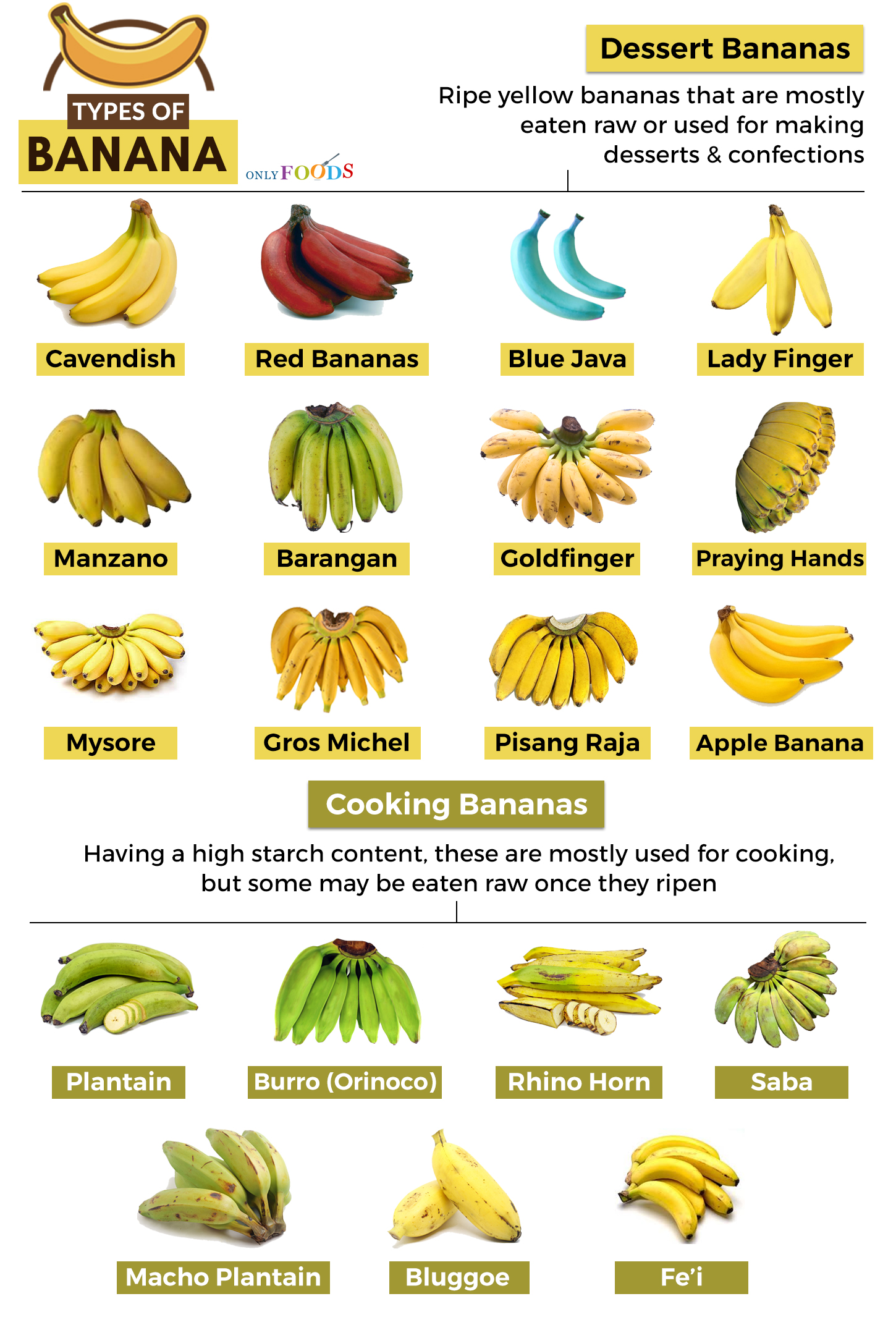19 Types of Bananas and What to Do With Them - Only Foods
