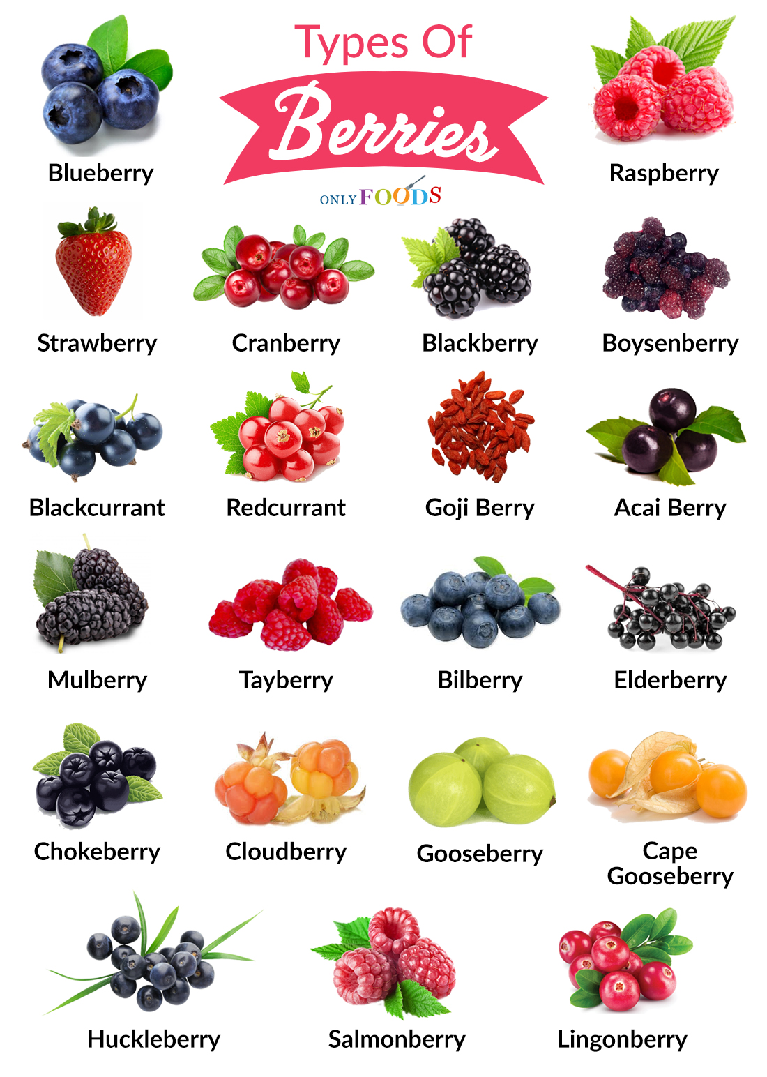 20 Types Of Berries And Ways To Use Them Shari's Berries Blog | vlr.eng.br