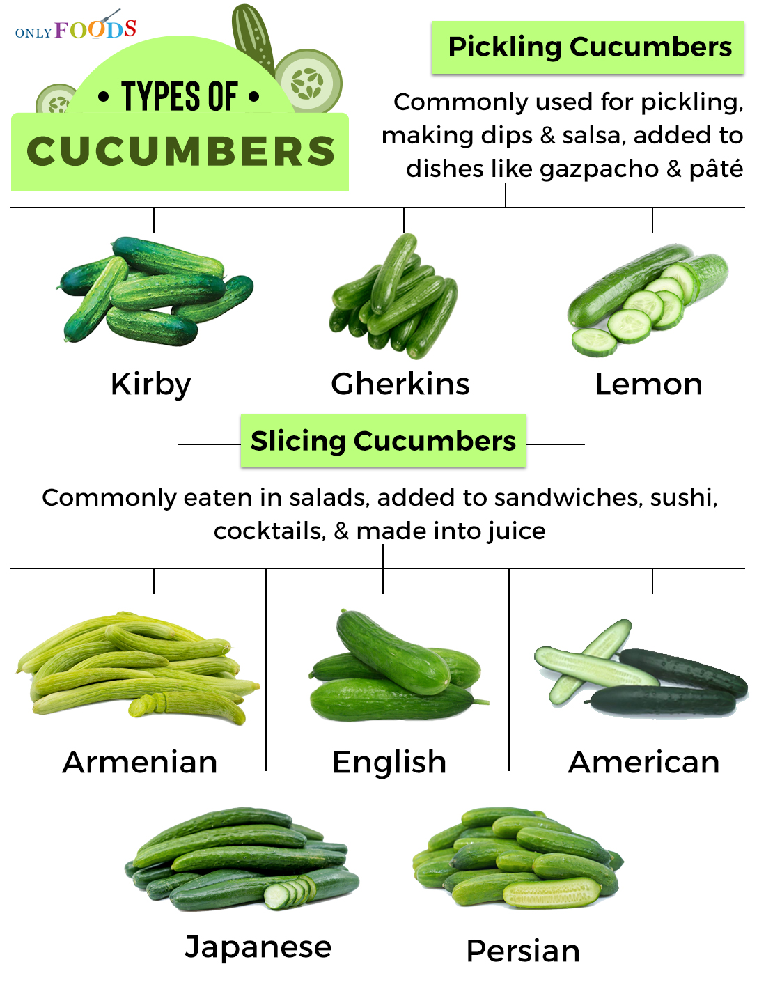 8 Different Types of Cucumbers and What to Do With Them