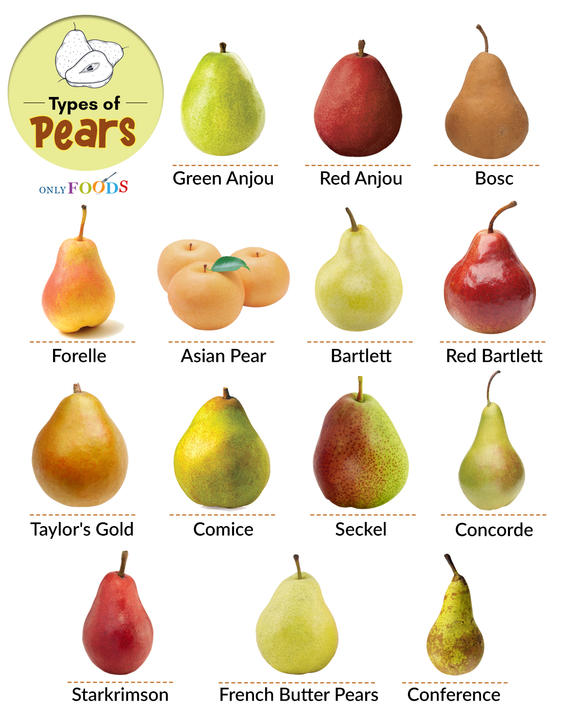 https://www.onlyfoods.net/wp-content/uploads/2020/08/Types-of-Pears.jpg
