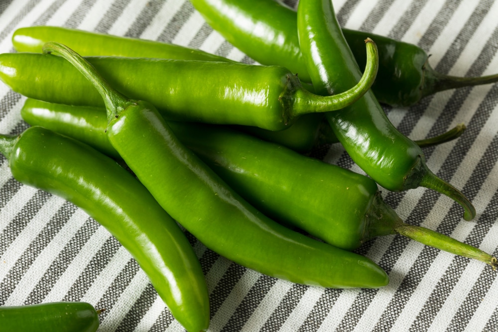 30 Different Types of Peppers From Sweet to Mild, and