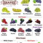 Types of Grapes