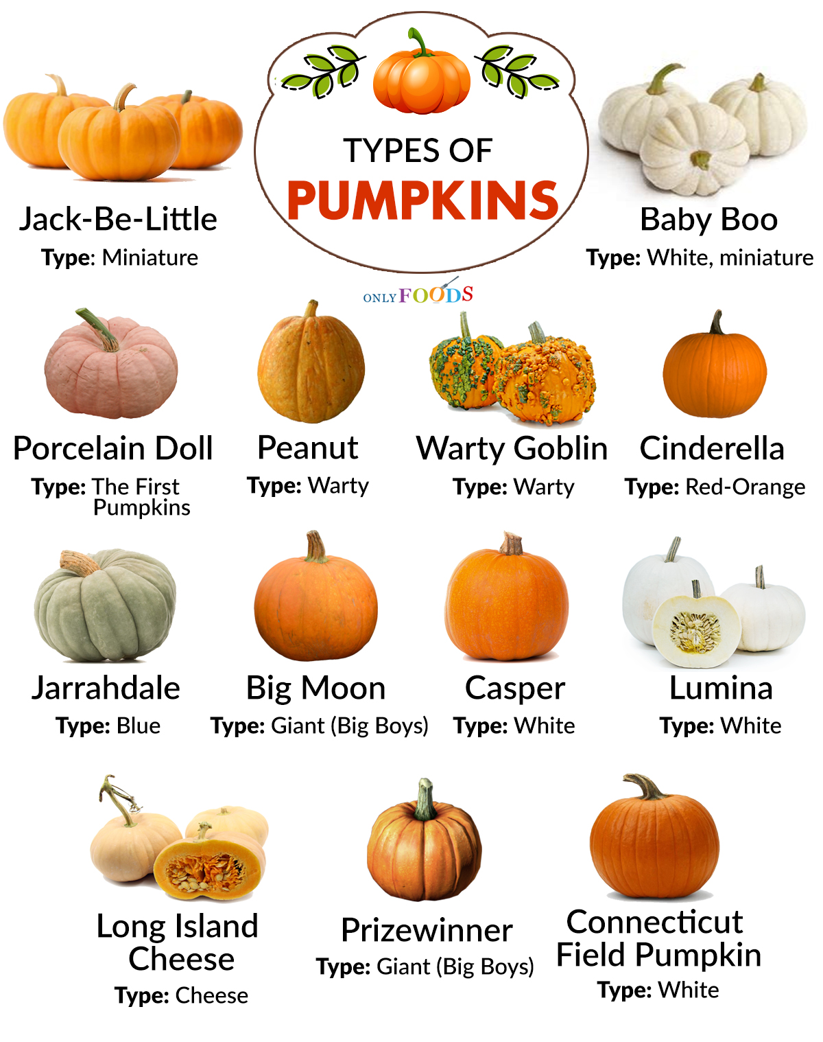 Types of Pumpkin