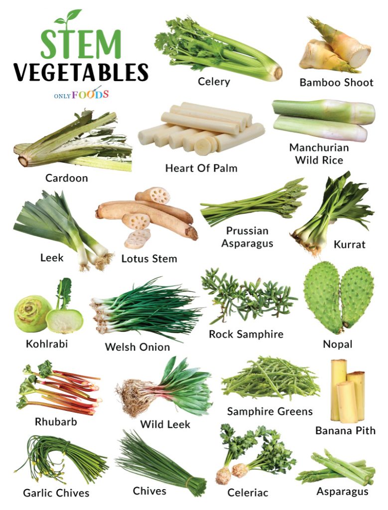 Stem Vegetables