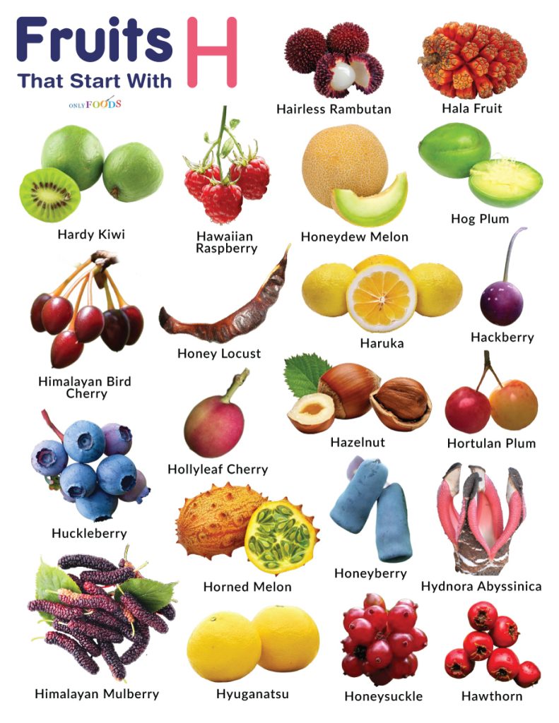 Fruits That Start With H